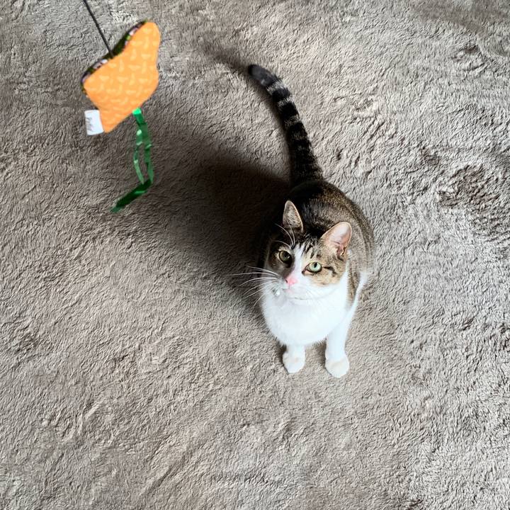 238fe264 36a4 4f35 8ae9 f9cb3a0501c5 1546256413187