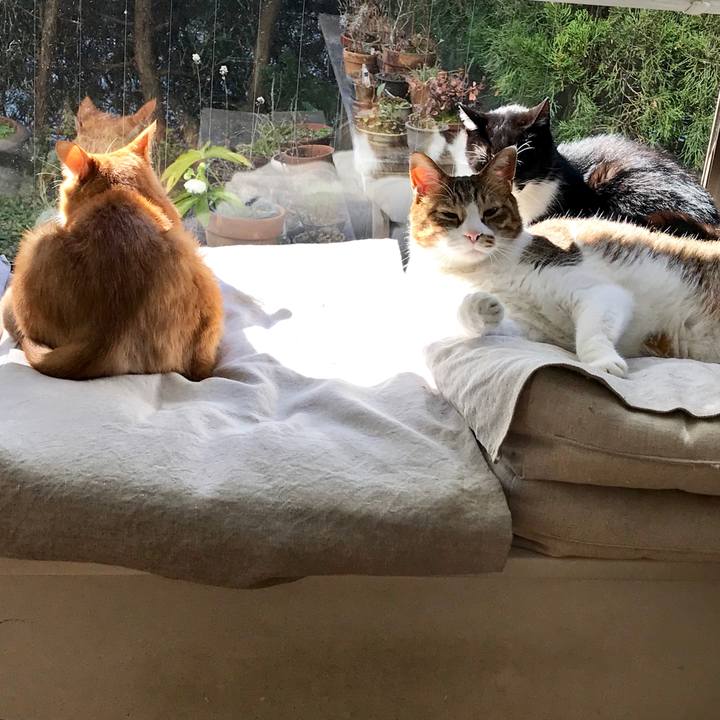 239038f1 6cb5 4c3f b720 8cdec6be73bd 1552873844561