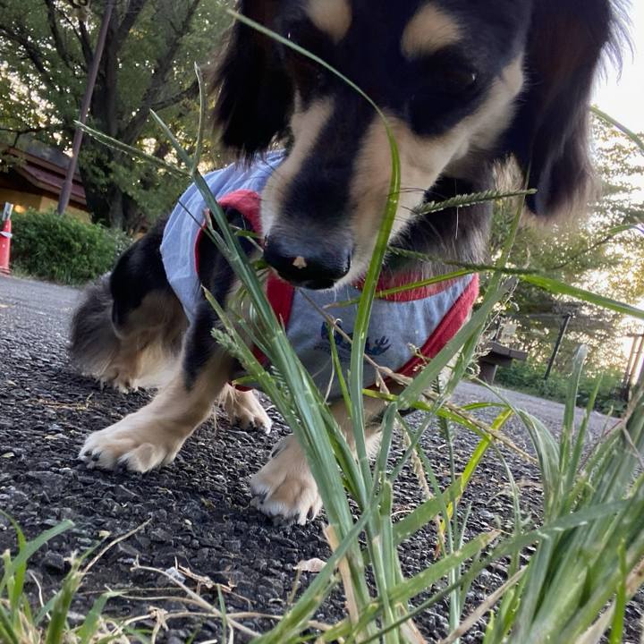 23904180 7bcc 4b62 8580 a8d89978b12e 1696300158755