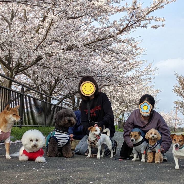 2390966e 05ae 489a 90a5 52c104888cfc 1617187355684