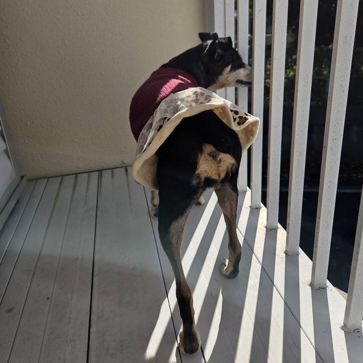 2390ad14 598c 4315 b364 1a9e4fcb52c8 1763342922260