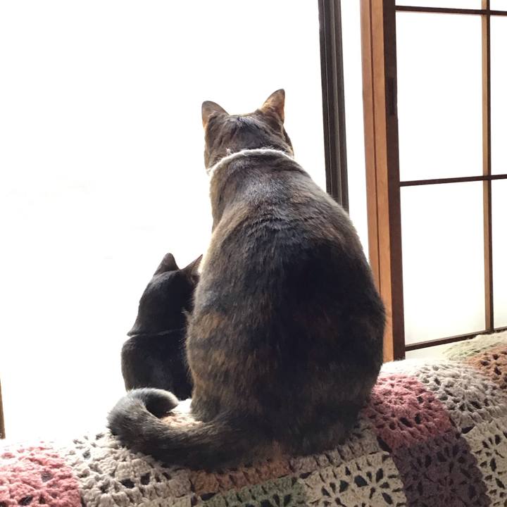 2390d2f1 408c 49c2 a262 cc570f876db9 1741864772762