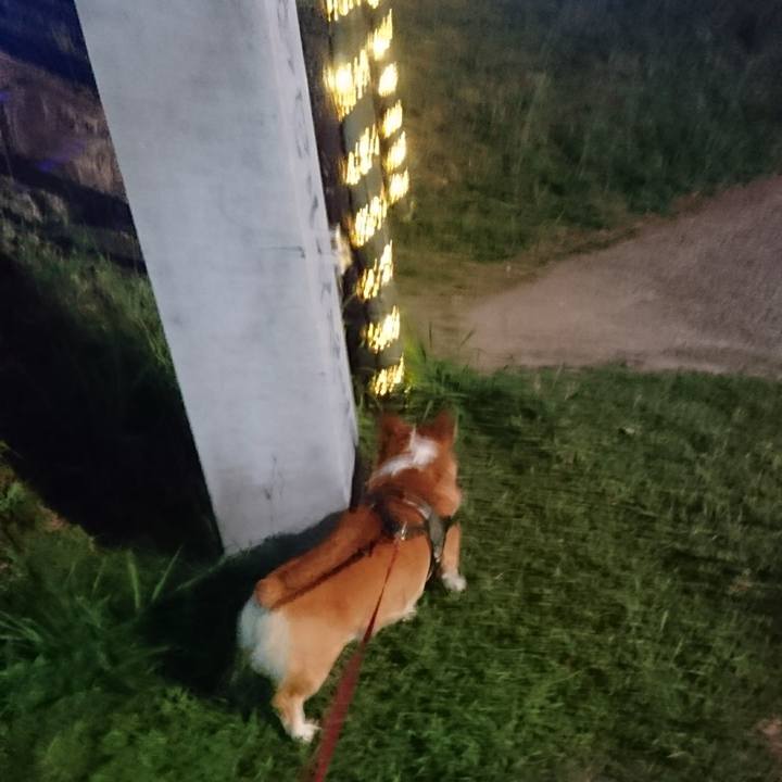 2390e456 662d 455e 811a 5584860e4fc6 1634213121670