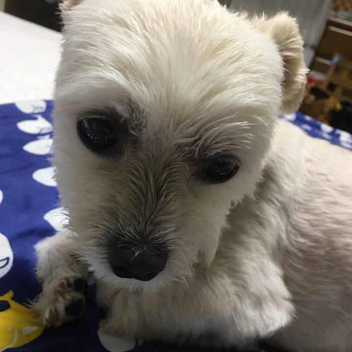 2390f501 5788 4a75 a136 379077bf3081 1563109046717