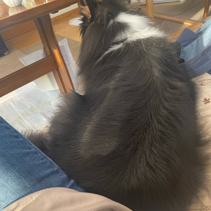 23910f6d 6466 44d4 bc26 74009504e66b 1635113026656