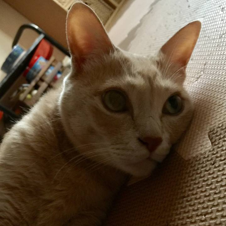 239125e5 e763 4836 9631 a557928d4da8 1565687316098