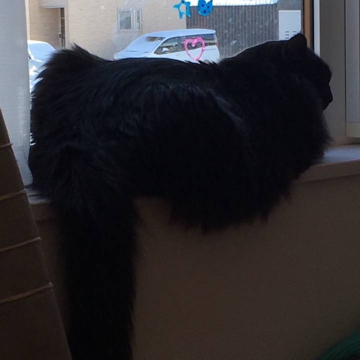 23912d2b 910b 461c 81a3 ece77f40af2d 1547891286509