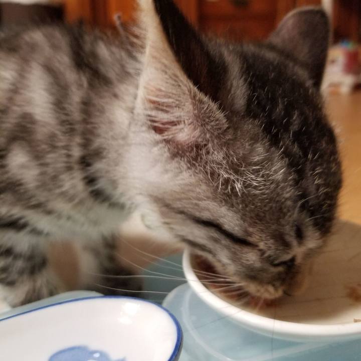 23913419 b139 4564 b1af 07142491c29e 1663523742095