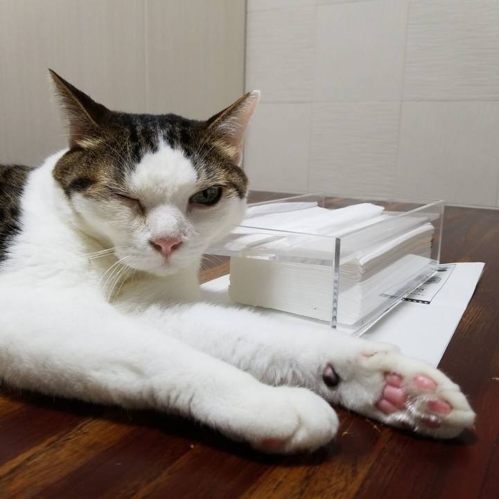 239156dd 1794 4a59 83f0 6609fccb36cc 1566942255210