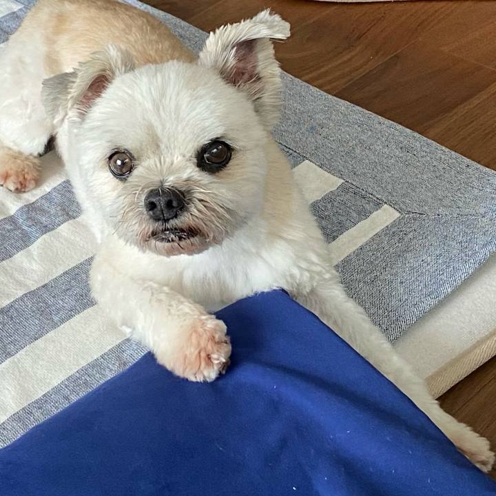 23918656 04aa 4fc9 bbd9 ba7f2ba91265 1691322777715