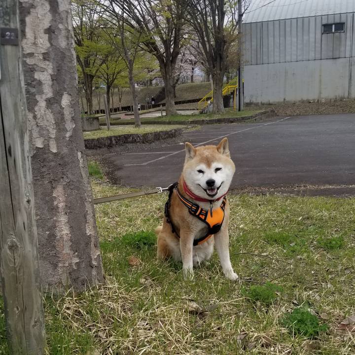 2391ca73 5897 4287 807a 6e7003ac3467 1713675838590