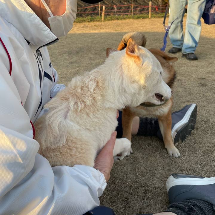 2391e973 ad6c 43a0 ac4e e52f69c92681 1677154448280