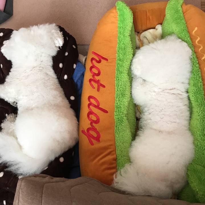 2391ea11 2c0d 4ebf 9dfd 5fba529e1cc5 1545787512937