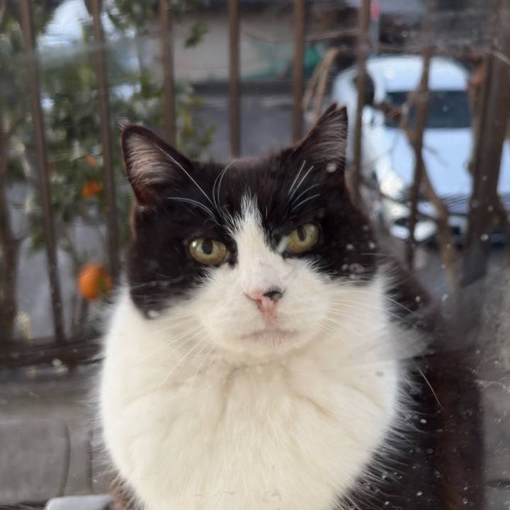 23921191 1207 46c3 9f5c a03a98db34d7 1769169572607