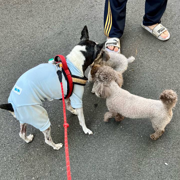 239270b4 5130 4167 a2f9 7ec48598dc12 1651653798637