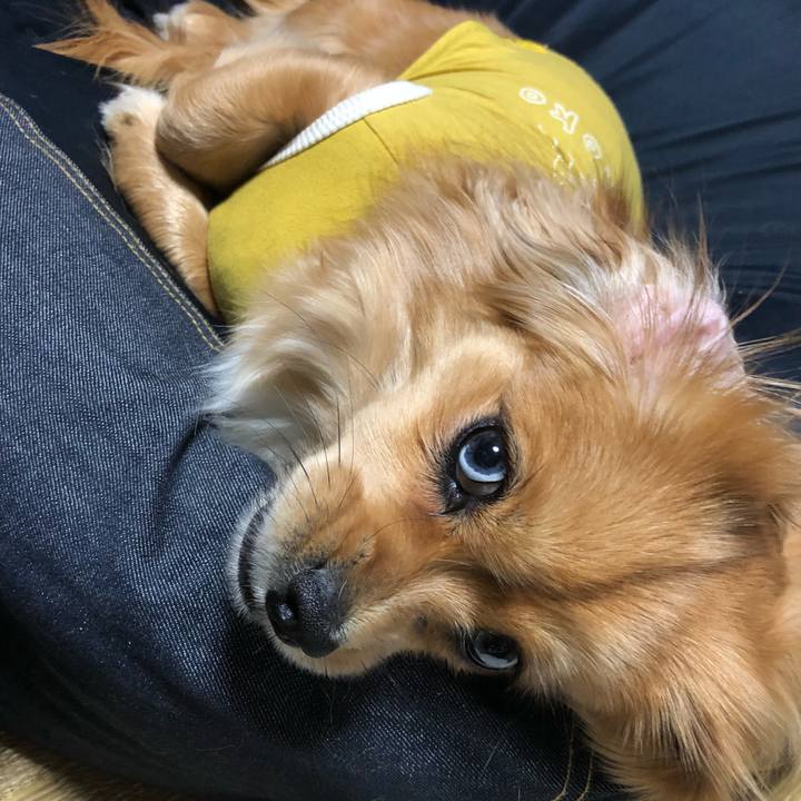 239279a9 d613 4d1a 9822 85f1bbe05044 1520171076181