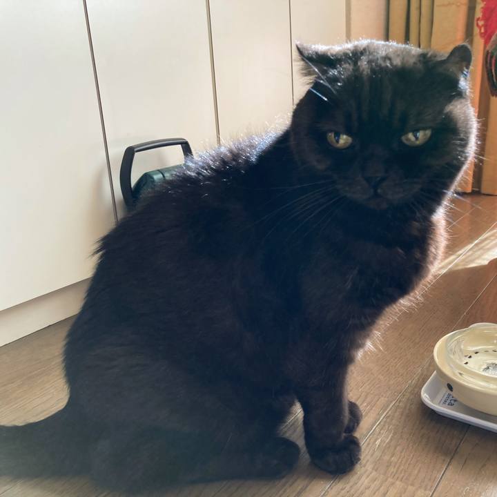 23929d0a 5348 44ed 84fe 751960d2d008 1609767802084