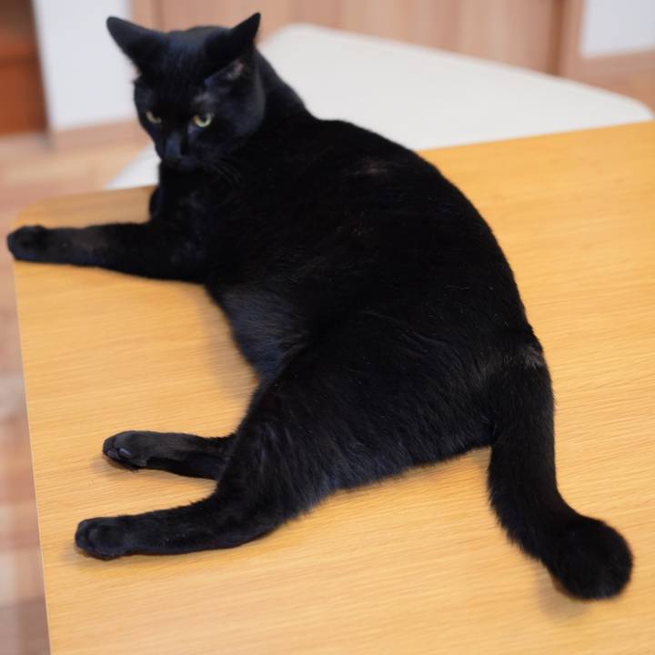 2392c663 b19b 41c3 aeec 1c4e70d2d97e 1624366034257