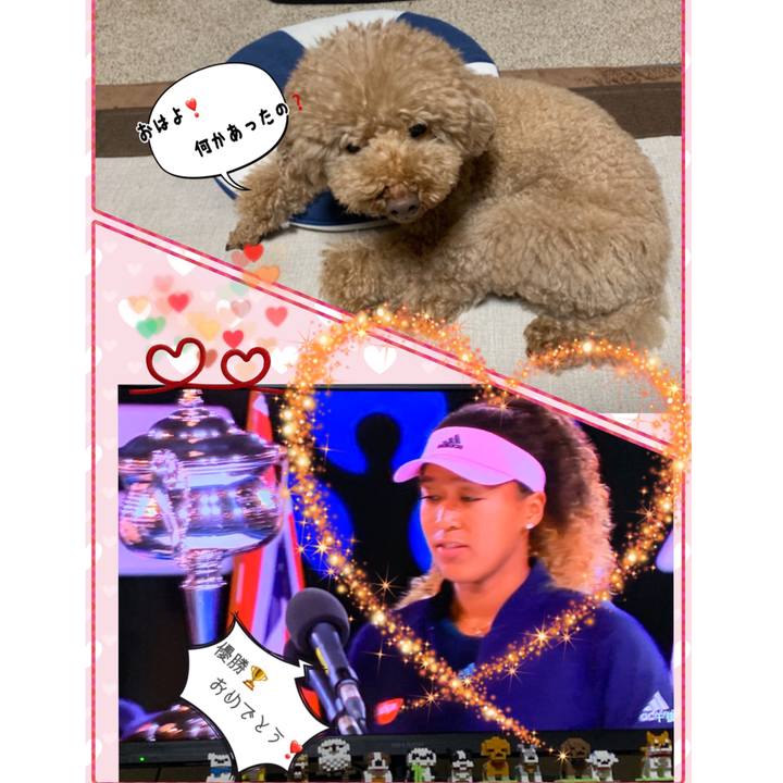 2392ccaf 8bac 4a8d b33f 3a30fd5037c7 1548544485377