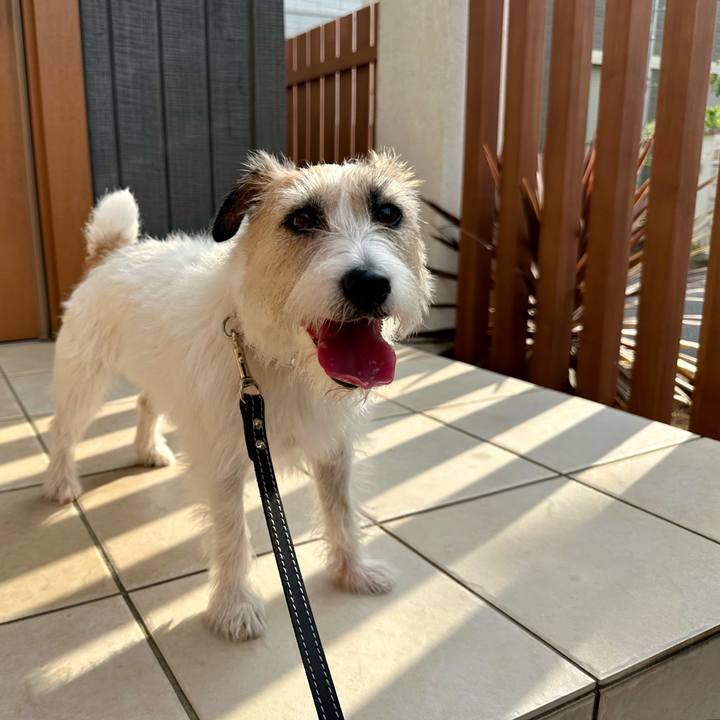 2392e587 87b4 4756 8211 1b796930a1db 1751550275965