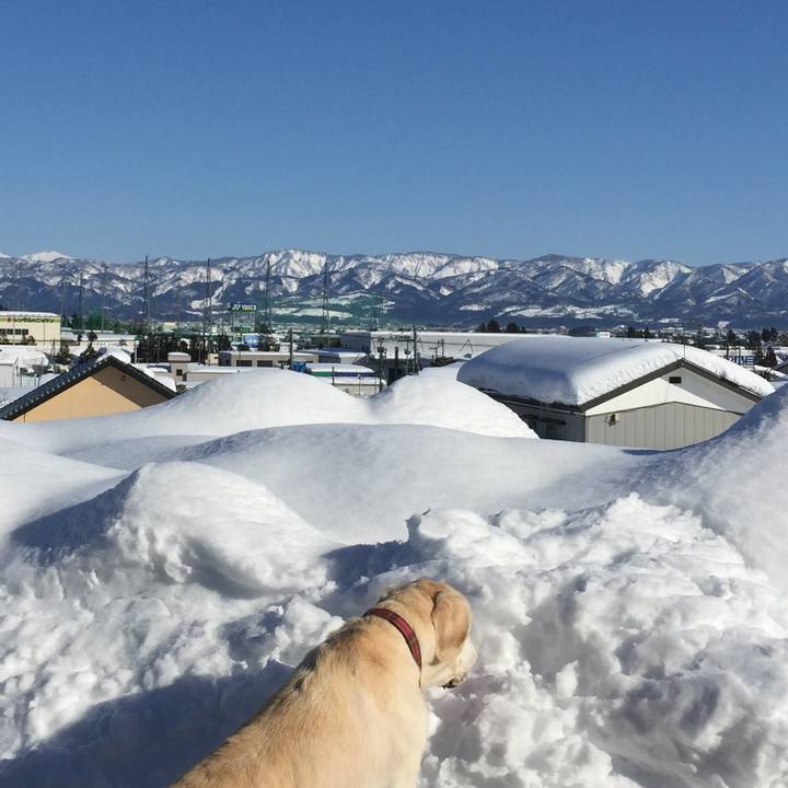 2392fcfd 624f 42af b047 11de38fba444 1518589402775