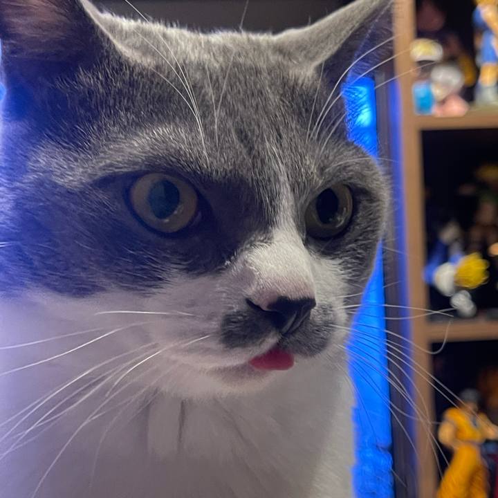 23933400 f331 434f 9382 ff0093045f01 1640350468717