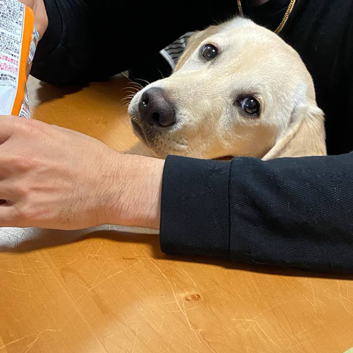 23936b7f 8728 45f1 b0b8 d3b3f9985d5e 1619607651908