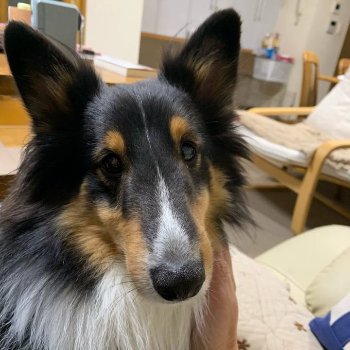 23937751 2c10 4560 a4f0 a7f49ad25523 1575274364544