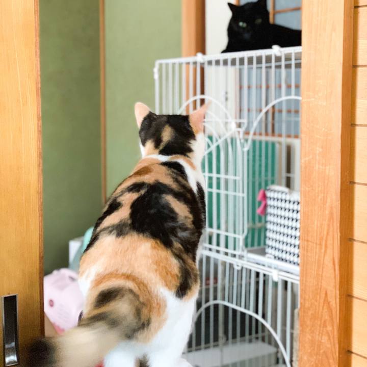 2393a6b1 25b4 4cb7 8f2d abaf34df5aec 1566783137238