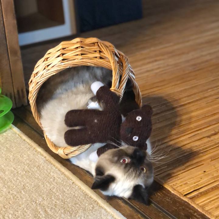 2393b689 b46e 4fc6 89cc 3d933c5d2a98 1594979449133