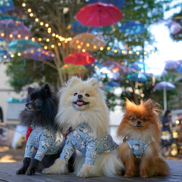 2393bf47 7962 4bee a530 2bcbb81940da 1529064879284