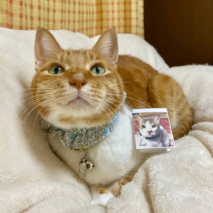 2393cabe e775 40f5 b390 3051c96854b3 1772278926594