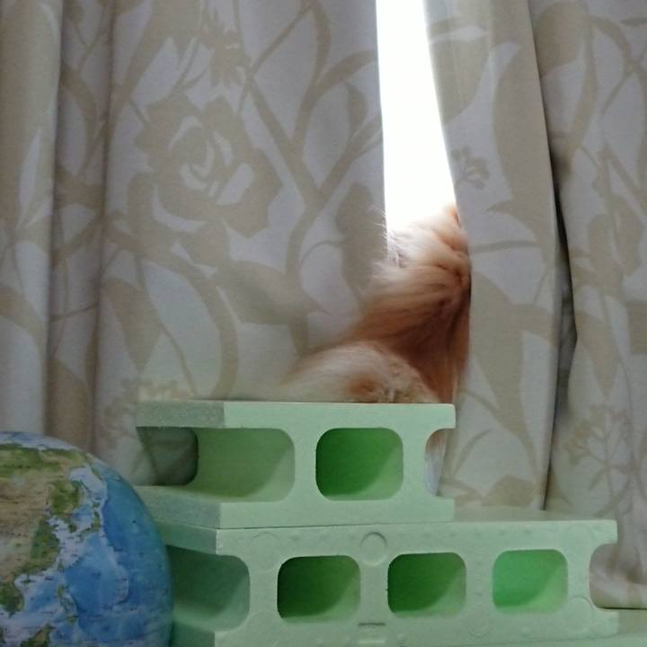 2393d21b d794 435a acad 808d2ec8dc24 1571452318548