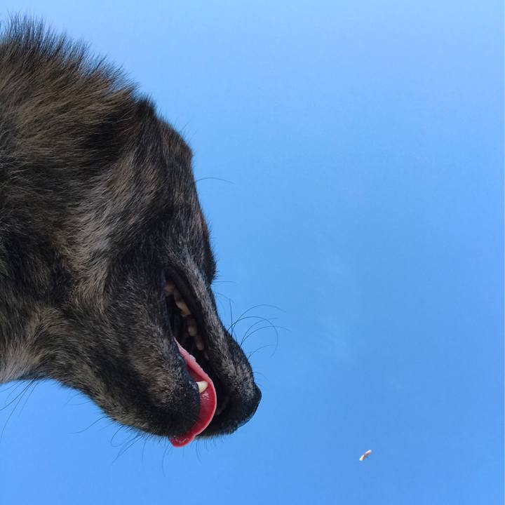 2393d2c1 f4f2 49f4 b3bb 828df21744e7 1558065231199