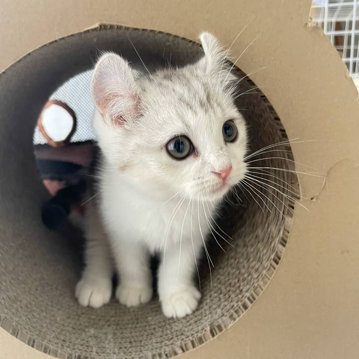 23940848 012a 478e 9b52 3b35fefe5729 1776770442322