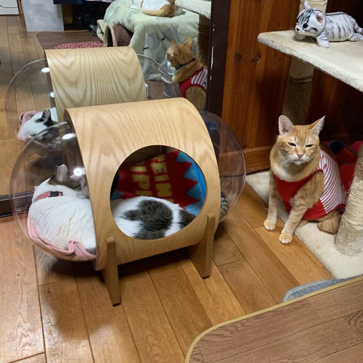 23941be1 42a0 469e 88f6 17d8d13412bd 1580991700477