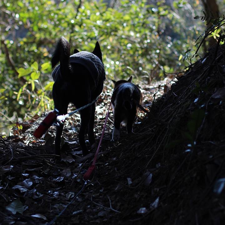 23942769 c90a 4ac4 b7e5 25d7c453bd8a 1527464921452