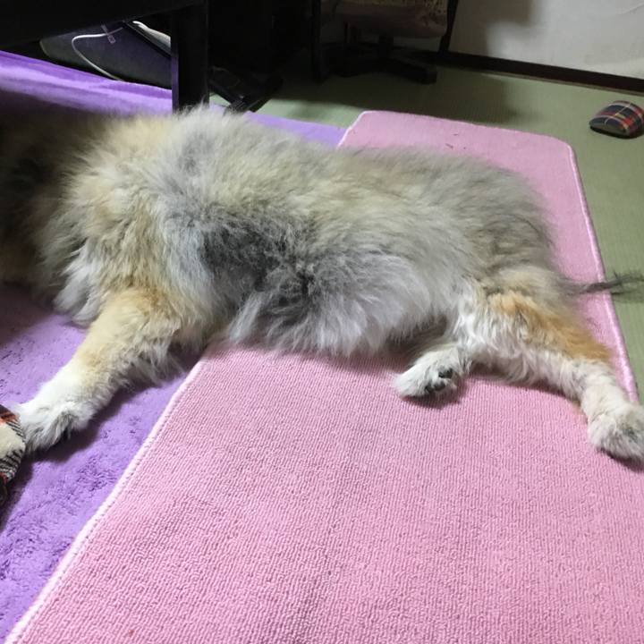 2394539b 3870 4ce3 ba72 6c7d569561ca 1597669980790