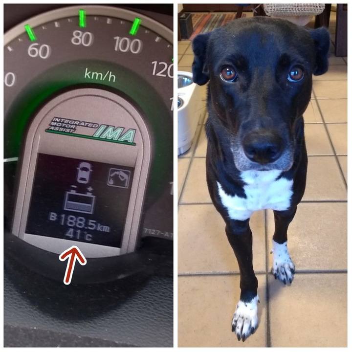 23947eba ac58 4f86 9051 9b34f73ccdfc 1628584473563