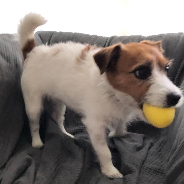 23948395 0073 42f1 8f1b 2d00b5a7caaa 1589614758059