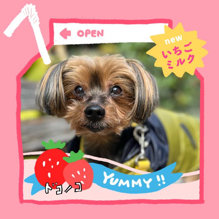 2394db06 cbeb 4cbc 85e9 faa28449d058 1711144734510