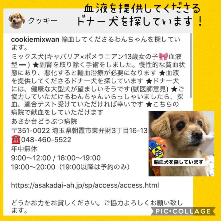 2394e61d 58e9 4ffb 9dcf b9c390cbfa2e 1589247832814