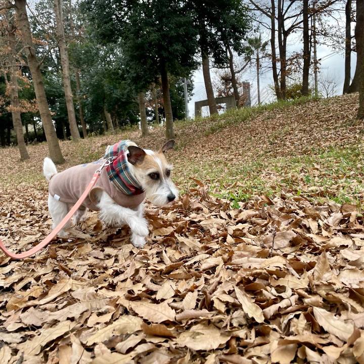 23951197 5da5 417e 8a7f 05b36f0f5df6 1671616121530