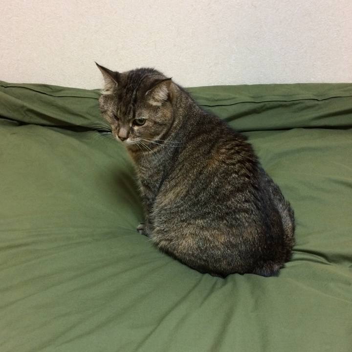 23951308 cde6 43ea 89d7 42d395ea02d1 1575424182972