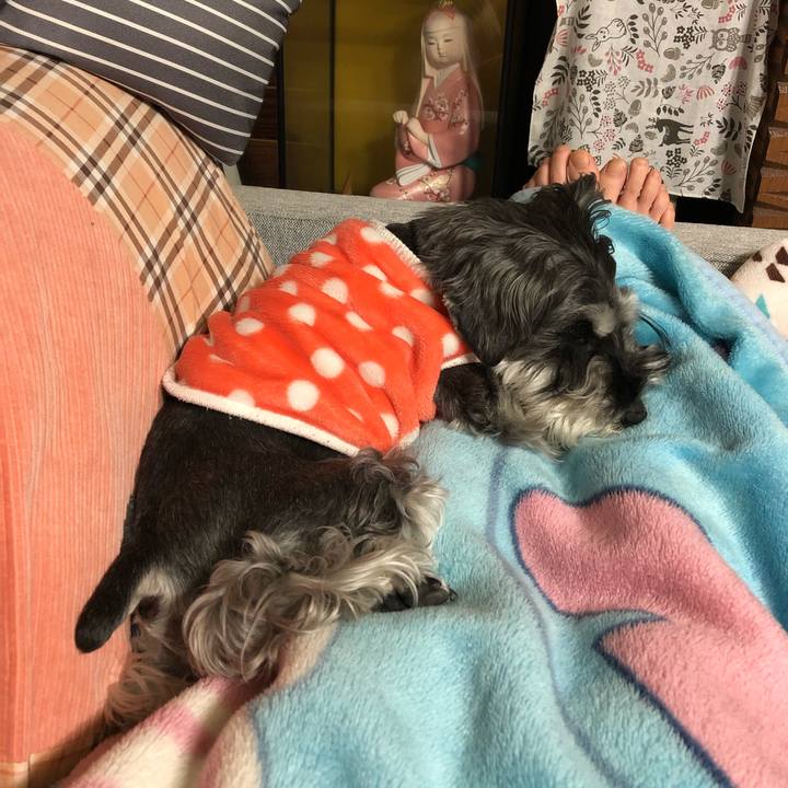 23951a2c 6380 479c b275 476c7b92c1b1 1682688225552