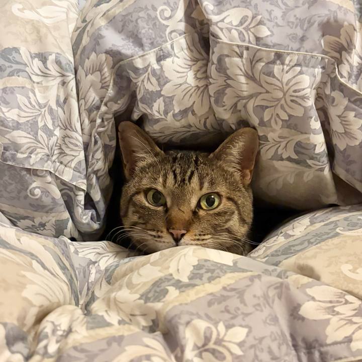 2395227e 75b3 43a2 b841 a6ca19234897 1770331521407