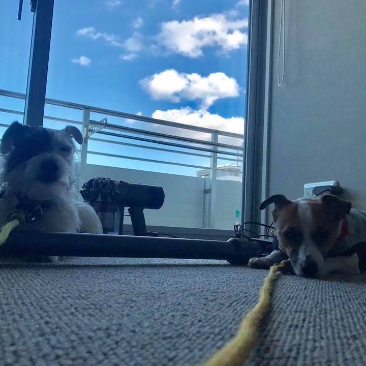 23955b60 f7b1 47b2 bdb6 1fd04494364f 1567722716548