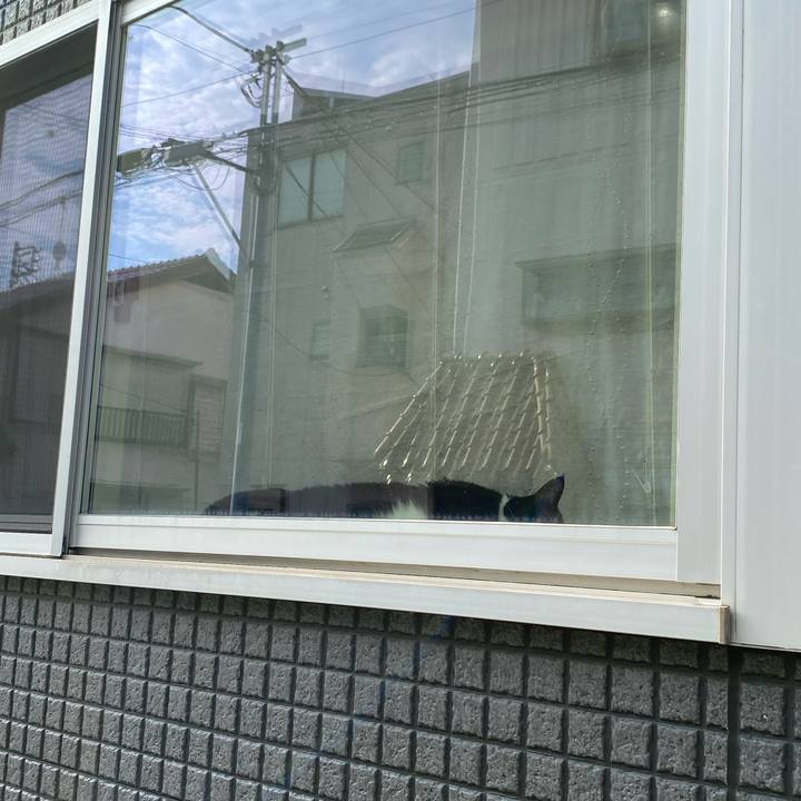 23958ce7 92bb 4d1c bed6 90b0f5bd3b74 1662812240949