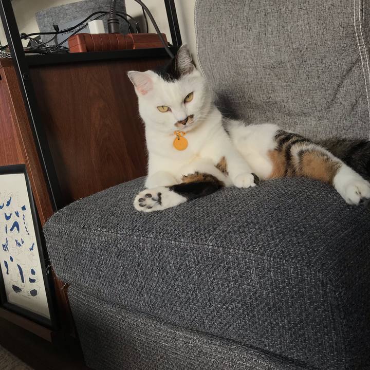 2395a08e e99c 4557 a9b0 ee14e5474b6e 1603348928452