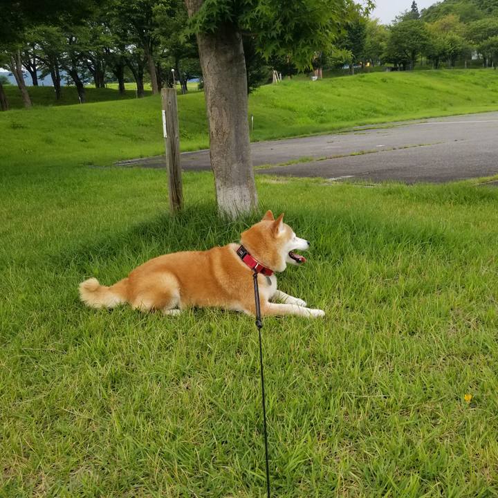 2395cad5 3520 4880 8da2 0376b7a779a0 1721377114621